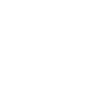 Human Solo Logo Blanco